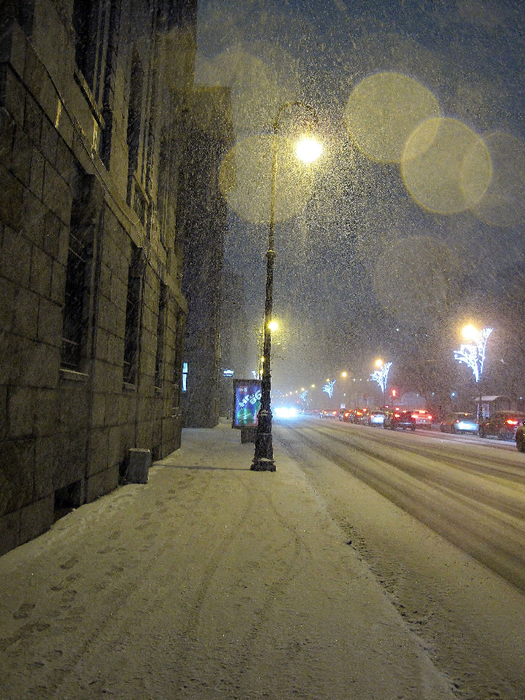 IMG_6184 (525x700, 485Kb)