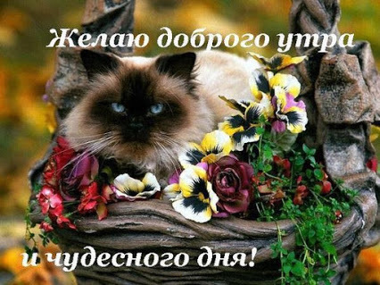 4743317_i22381 (426x319, 74Kb)