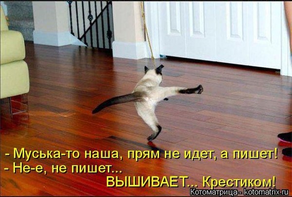 4743317_i22384 (600x405, 68Kb)