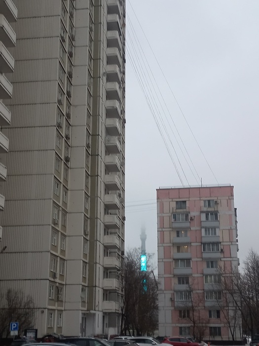 20241224_160116 (525x700, 97Kb)