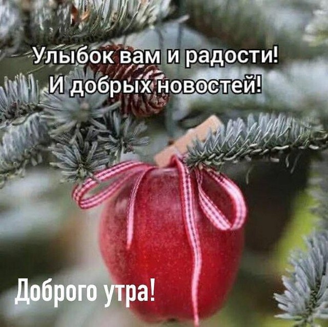 4743317_image20210122_09_57_21 (640x639, 104Kb)