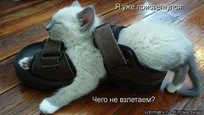 4743317_P_1_ (700x396, 36Kb)