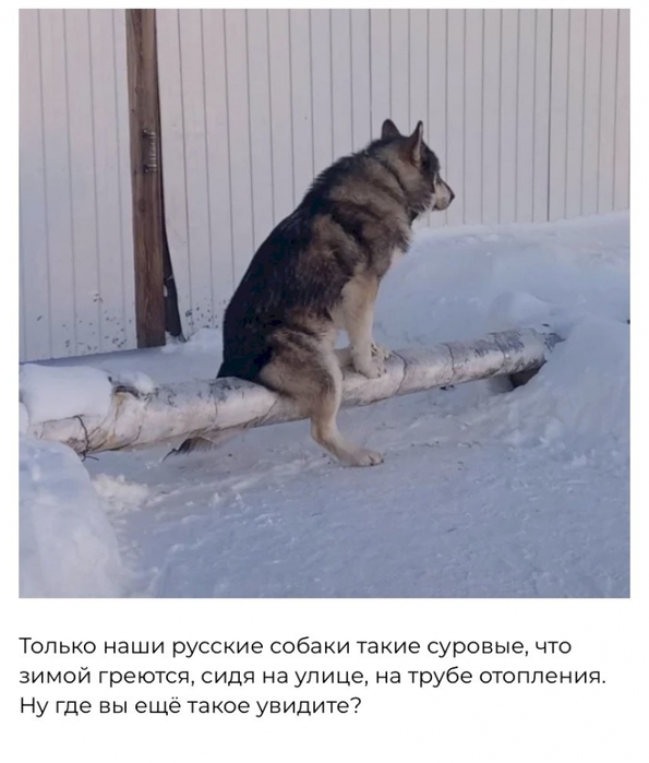 4743317_839be5cd (595x700, 186Kb)