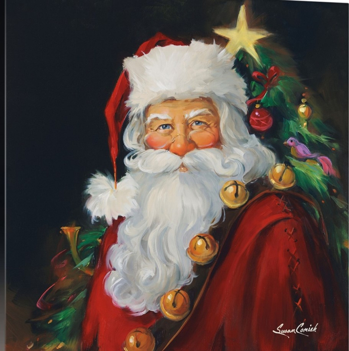 santa-portrait,2044875 (695x700, 410Kb)