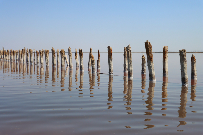 IMG_0756 (700x466, 352Kb)