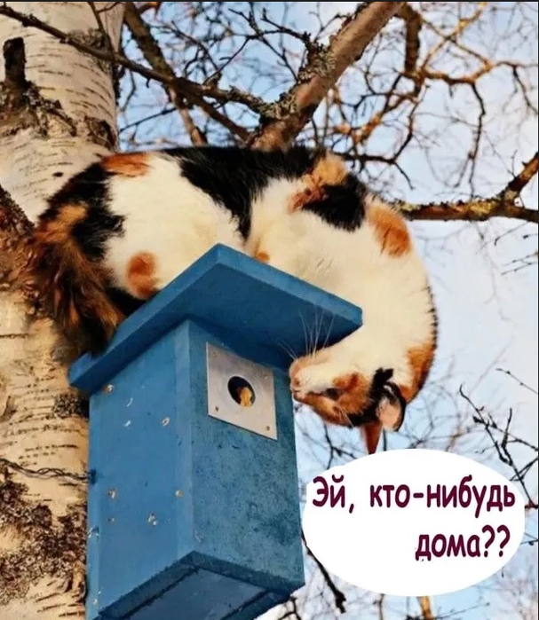 Безымянный.jpg 1 (607x700, 421Kb)
