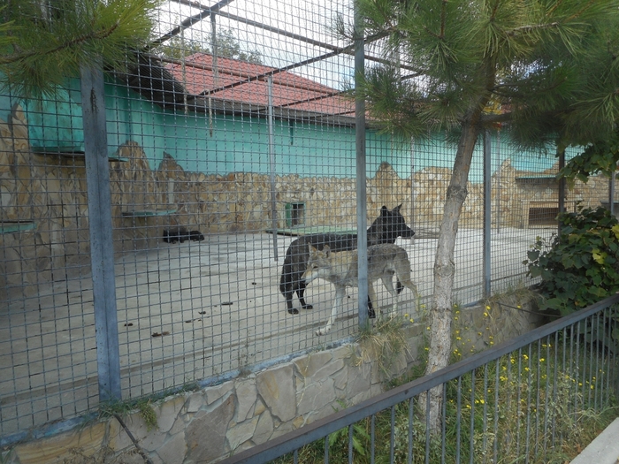 4752699_DSCN0623tag (700x525, 337Kb)