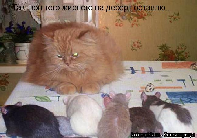 4743317_oO (648x454, 41Kb)