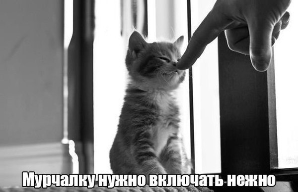4743317_i22189 (600x388, 40Kb)