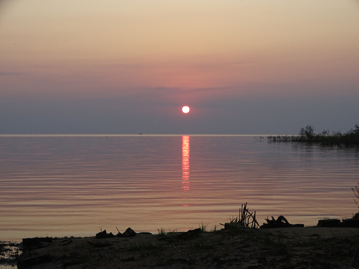 DSC00436 (700x525, 283Kb)