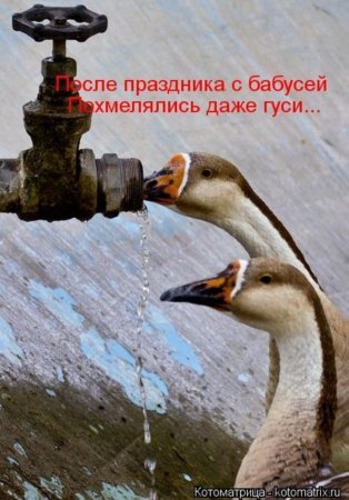 4743317_i17379 (314x450, 36Kb)