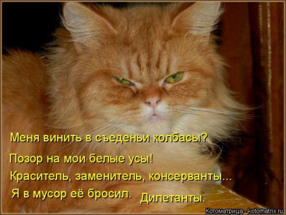 4743317_i22178 (590x443, 42Kb)