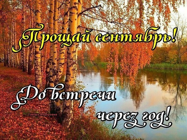   (600x450, 151Kb)