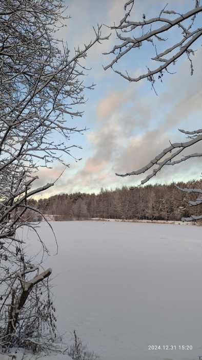 IMG-20241231-WA0042 (394x700, 34Kb)