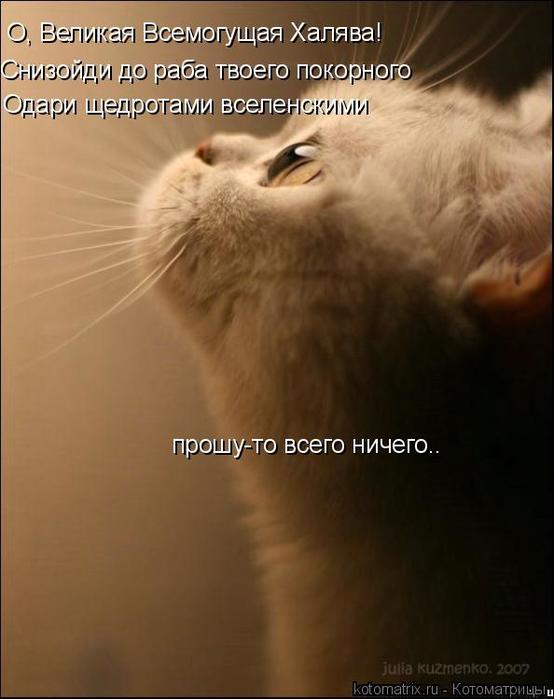 4743317_c_ (554x700, 39Kb)