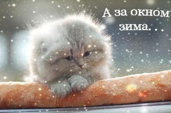 4743317_i22173_1_ (600x399, 55Kb)