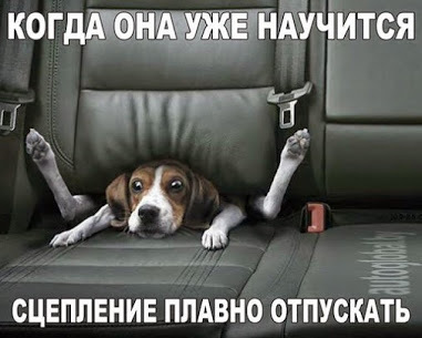 https://img0.liveinternet.ru/images/attach/d/4/163/548/163548284_4743317_i22176.jpg