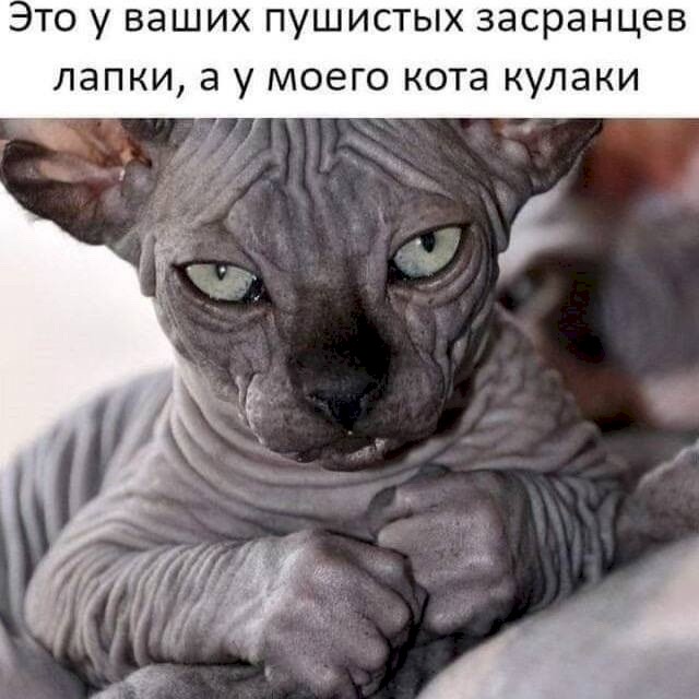 4743317_afe48cea (640x640, 68Kb)