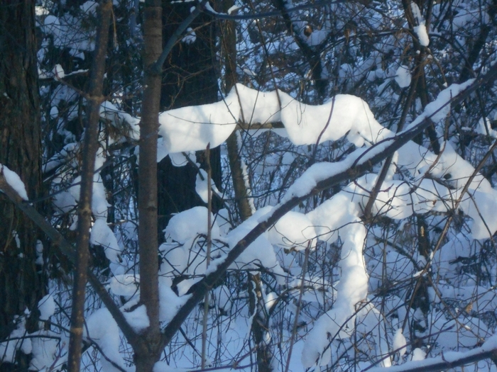 4533467_DSCN67471 (700x525, 317Kb)