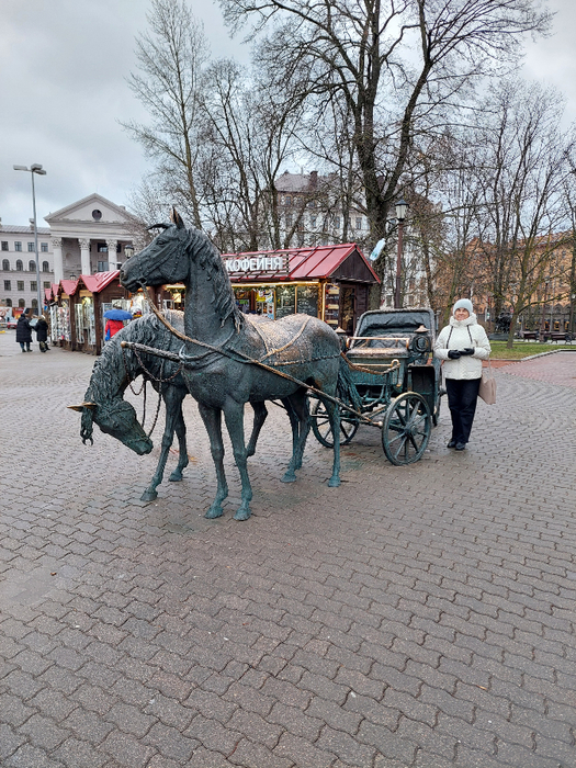 20250102_120531 (525x700, 541Kb)