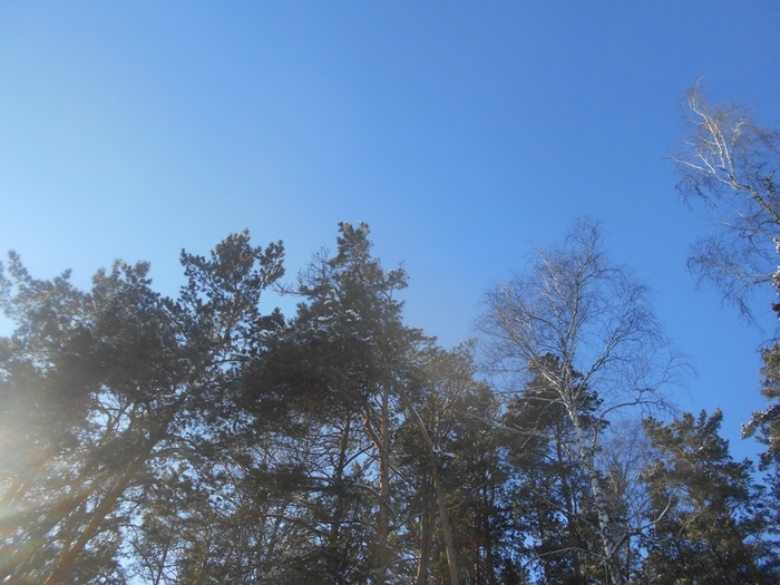 4533467_DSCN67971 (700x525, 271Kb)
