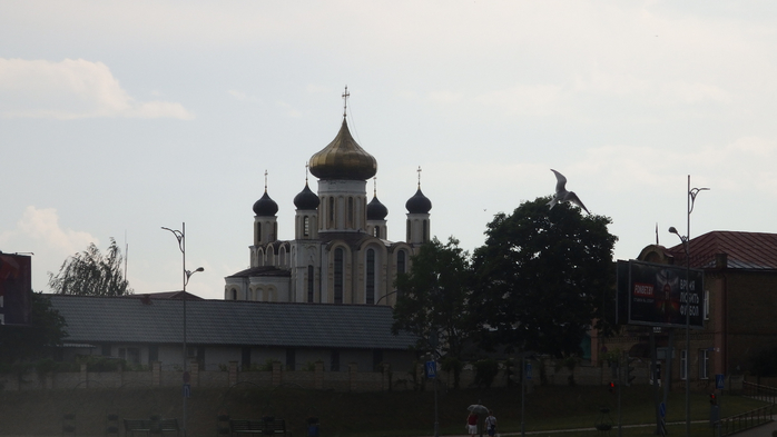 P6190432 (700x393, 189Kb)