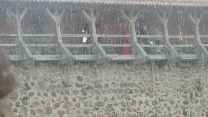 P6190437 (700x393, 281Kb)