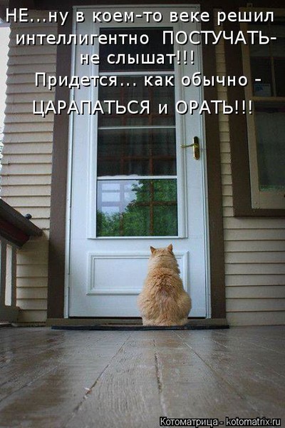 4743317_i4212 (400x600, 72Kb)