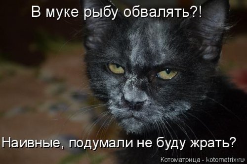 4743317_i22057 (500x333, 33Kb)