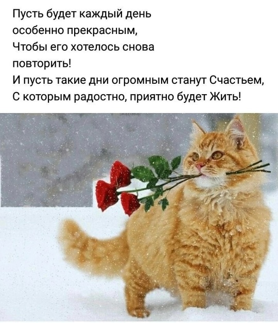 1736281961 (540x628, 129Kb)