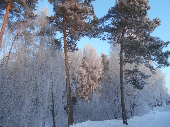 4533467_DSCN71021 (700x525, 323Kb)