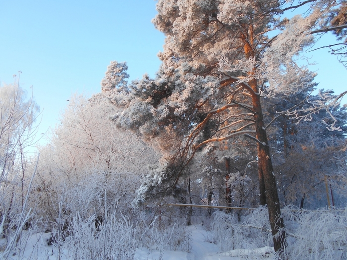 4533467_DSCN71061 (700x525, 323Kb)