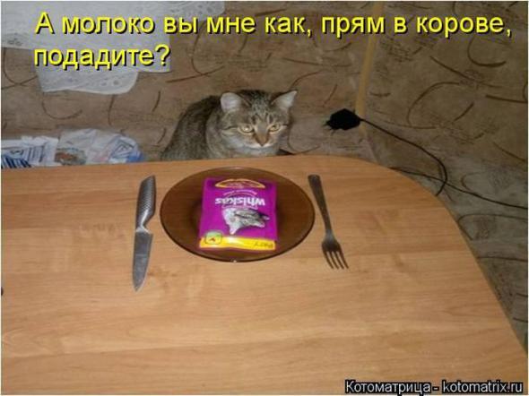 4743317_i21790 (590x442, 36Kb)