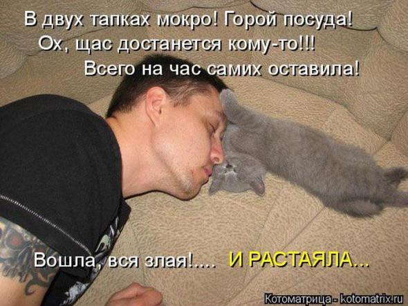 4743317_i21794 (590x442, 51Kb)