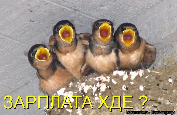 4743317_tp (700x454, 56Kb)