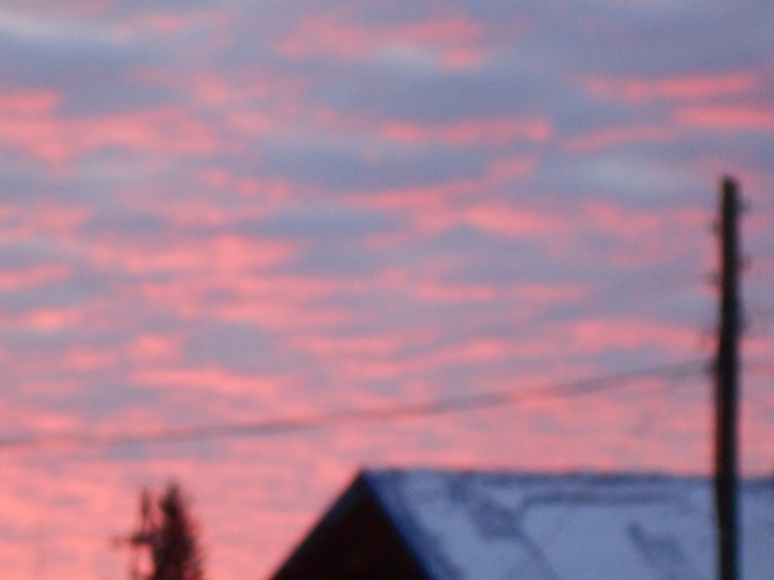 4533467_DSCN69271 (700x525, 191Kb)