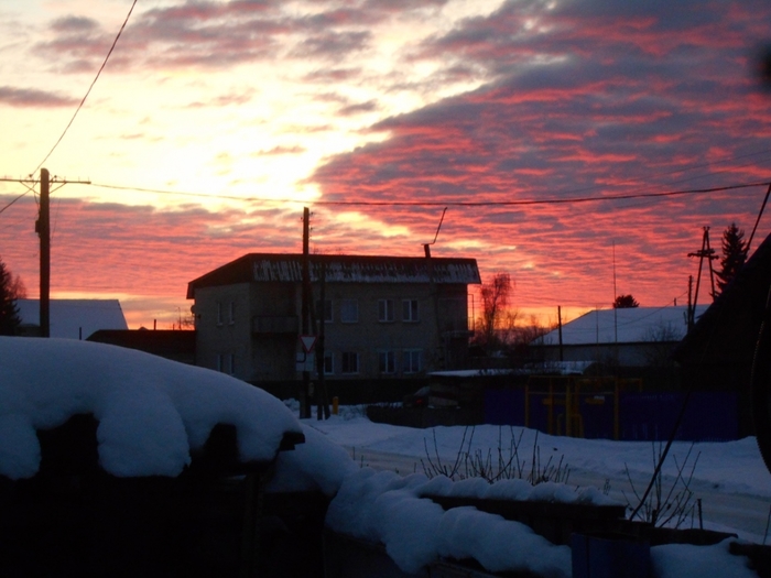 4533467_DSCN69291 (700x525, 223Kb)