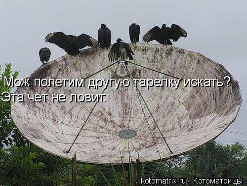 4743317_3g (500x376, 42Kb)