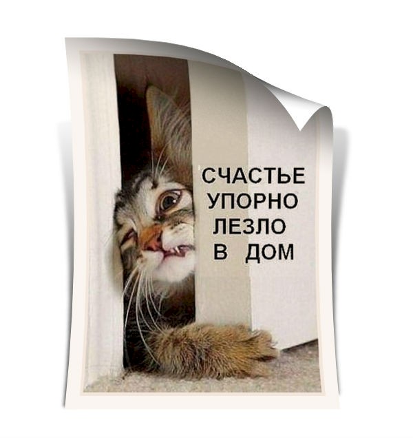 4743317_f922de5d (600x636, 41Kb)