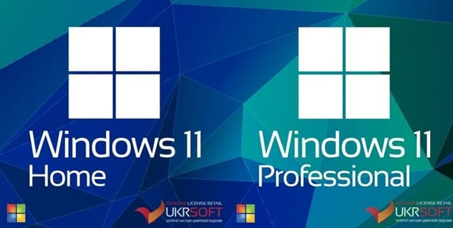 Windows 11 и Windows 11 Professional (650x327, 127Kb)