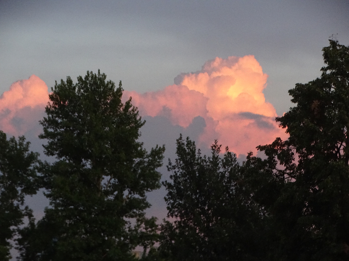 DSC00352 (700x525, 338Kb)