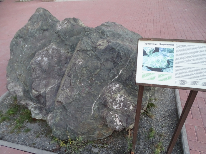 DSC00354 (700x525, 401Kb)