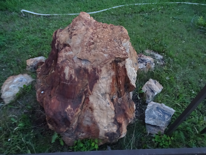 DSC00363 (700x525, 393Kb)