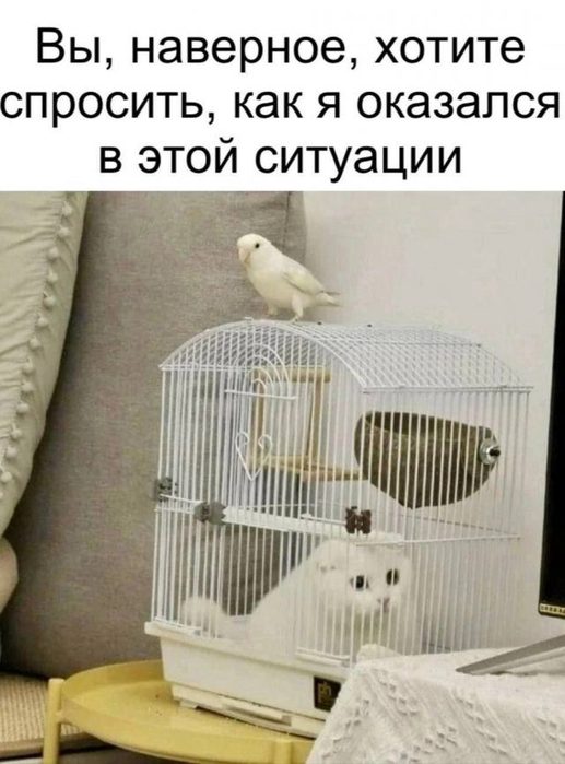 4743317_a05a8bdc1d (517x700, 59Kb)
