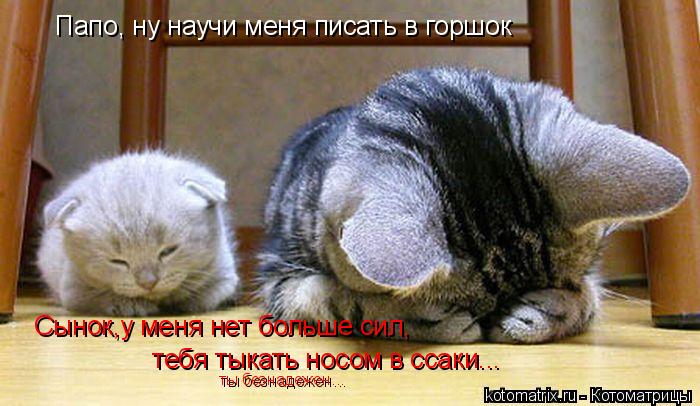 4743317_d_ (700x406, 57Kb)