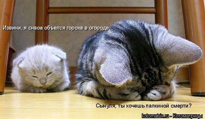 4743317_DA (700x406, 51Kb)