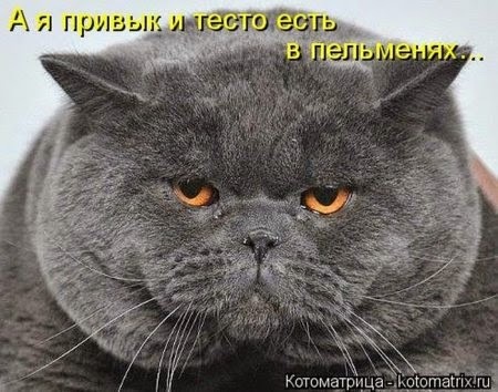 4743317_i21693 (450x354, 57Kb)