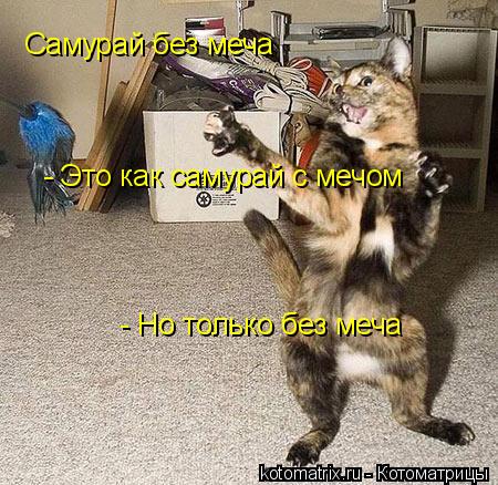 4743317_Ja (450x438, 60Kb)