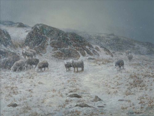 Herdwicks-Duddon-Valley-38-x-50cm-www-500x377 (500x377, 109Kb)