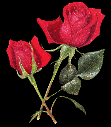 19ae05e38f30 (379x431, 141Kb)